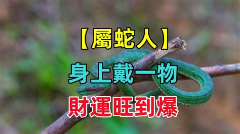 屬蛇名字帶刀